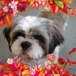 Eileen Cheney - Facebook