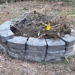 Eileen Cheney - @eileencmom - Instagram
