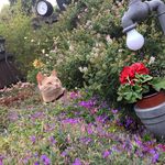 Eileen Cherry - @eacherry01 - Instagram