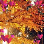 Eileen Chia - Facebook