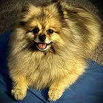 Eileen Childs - @toodles2ya - Instagram