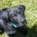 Aileen Choate - Facebook