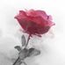 Eileen Choi - Facebook