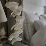 Eileen Choi - @echoi80 - Instagram