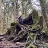 Eileen Chow988 - @eileen_chow - TikTok