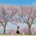 Eileen Chow - Facebook