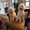 Eileen Chua - @eileen.chua3 - TikTok