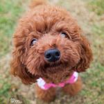 CherryLily穎 - @eileen_chung56 - Instagram