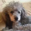 Eileen Clare - @eileen.clare - TikTok