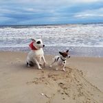 Eileen_Clauss - @eileen_clauss7 - Instagram