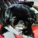 Eileen Clauss Denstad - Facebook