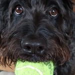 Eileen Cleary - @boxrdudle - Instagram