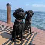 Eileen Cleary - @itsmeimmabel - Instagram