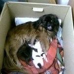 Eileen Burke Coates - @efcirish - Instagram