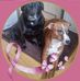 Eileen Cameron-Cowburn - Facebook