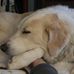 Eileen Cochrane - Facebook