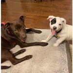 Eileen Cullen Cochran - @ecullenc - Instagram
