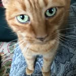 Eileen Cody Sheppard - @eileen.c.sheppard.1 - Instagram
