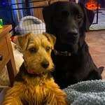Eileen Coe - @eileenanncoe - Instagram