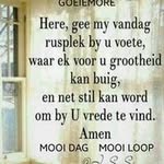 Eileen Coetzee - @eileen.coetzee - Instagram