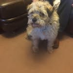 Eileen Cole - @eileencole40 - Instagram