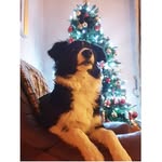 Eileen Coleman - @eileen.coleman.31542841 - Instagram