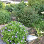 Eileen Collins Kempster - @eileencollinskempster - Instagram