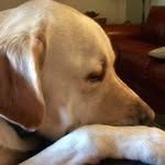 Eileen Colligan - @nennie105 - Instagram