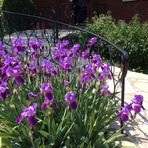 Eileen Collison - Facebook