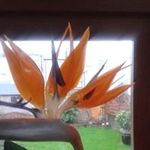 Eileen Comerford - @eileencomerford - Instagram
