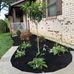 Eileen Compton - Facebook