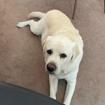 Eileen Comstock - @eileencomstock163 - Instagram