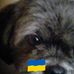 Eileen Connell - Facebook