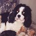Eileen Connell - Facebook