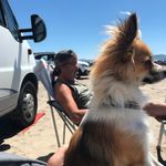 Eileen O Connell - @eileeno.connell - Instagram