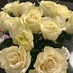 Eileen Conner - @eileen_conner099 - Instagram