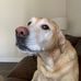 Eileen Conover - Facebook