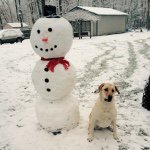 Eileen - @eileenconover82 - Instagram