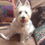 Eileen Convery - @eileenconvery - Instagram