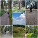 Eileen Cookson - Facebook