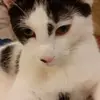 Eileen Corbishley - @eileen.corbishley - TikTok