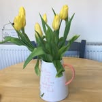 Eileen Corcoran - @eileen.corcoran.12 - Instagram