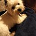 Eileen Corcoran - Facebook