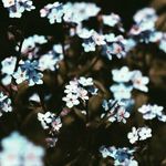 gracieee - @grace_eileen_cordero - Instagram