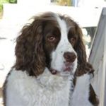Eileen Corless - @corless.eileen - Instagram