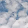 eileen correa - @eileen.correa69 - TikTok