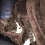 Eileen Corwin - @eileen.corwin.7 - Instagram