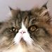 Eileen Coyle - Facebook