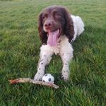 Eileen Coyle - @eileencoyle.and.ella - Instagram