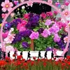 eileenlamacraft - @eileenlamacraft - TikTok